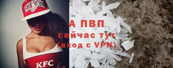 стафф Карталы