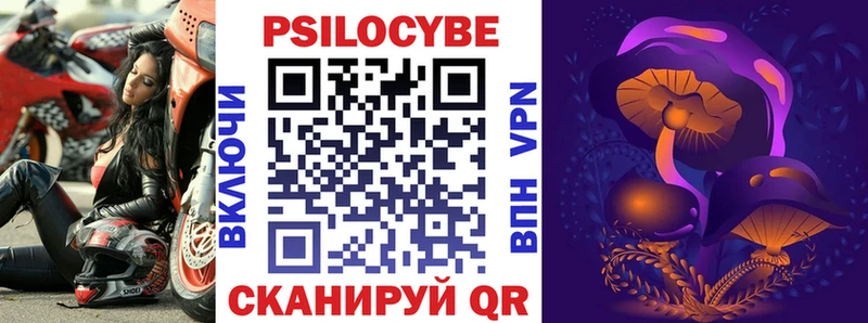 Купить  Рассказово  Псилоцибиновые грибы мицелий 